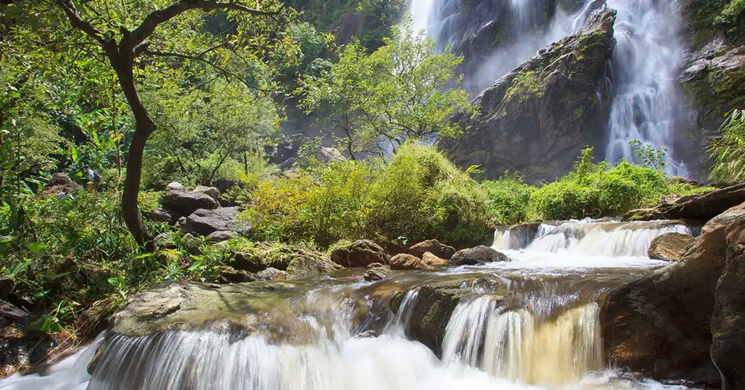 پارک ملی سیرینات