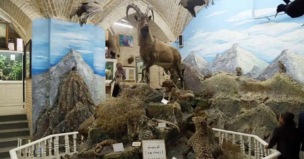 موزه علوم طبیعی یزد