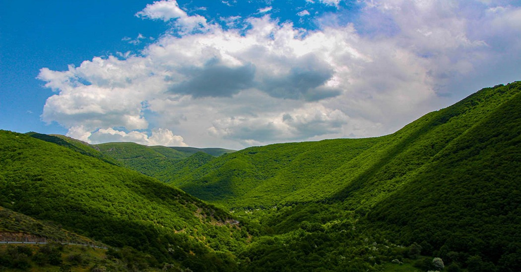 جنگل ارسباران بی‌انتها و مرموز