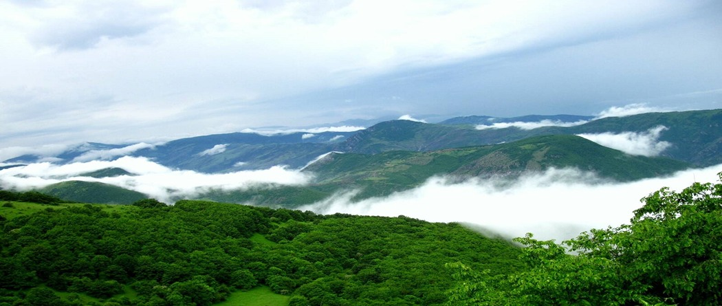 جنگل ارسباران به زیبایی بهار ایران