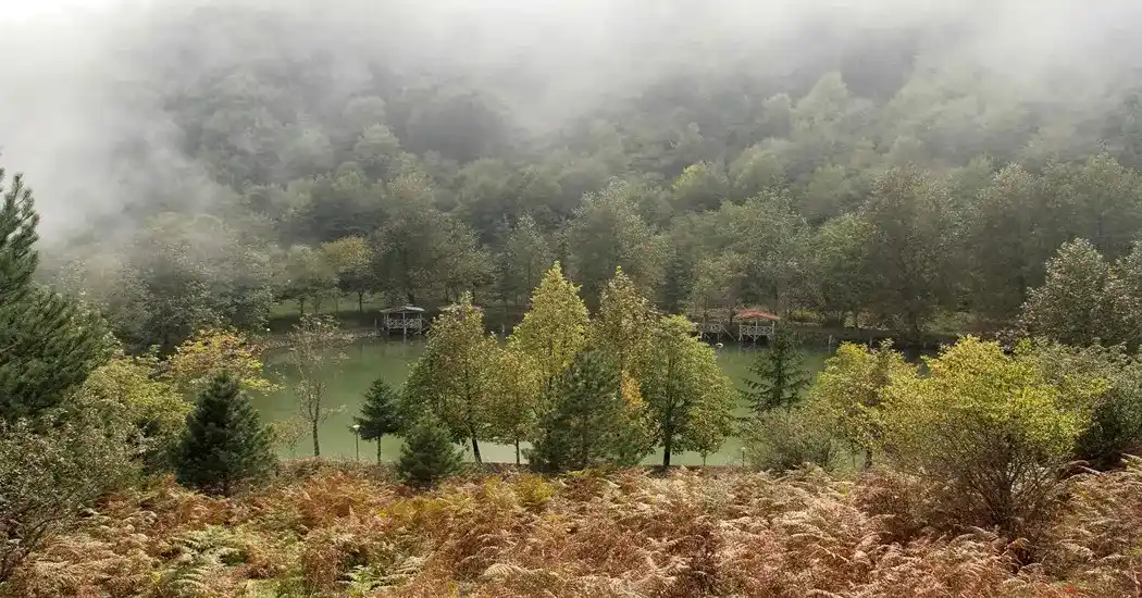 اقامت در رامسر