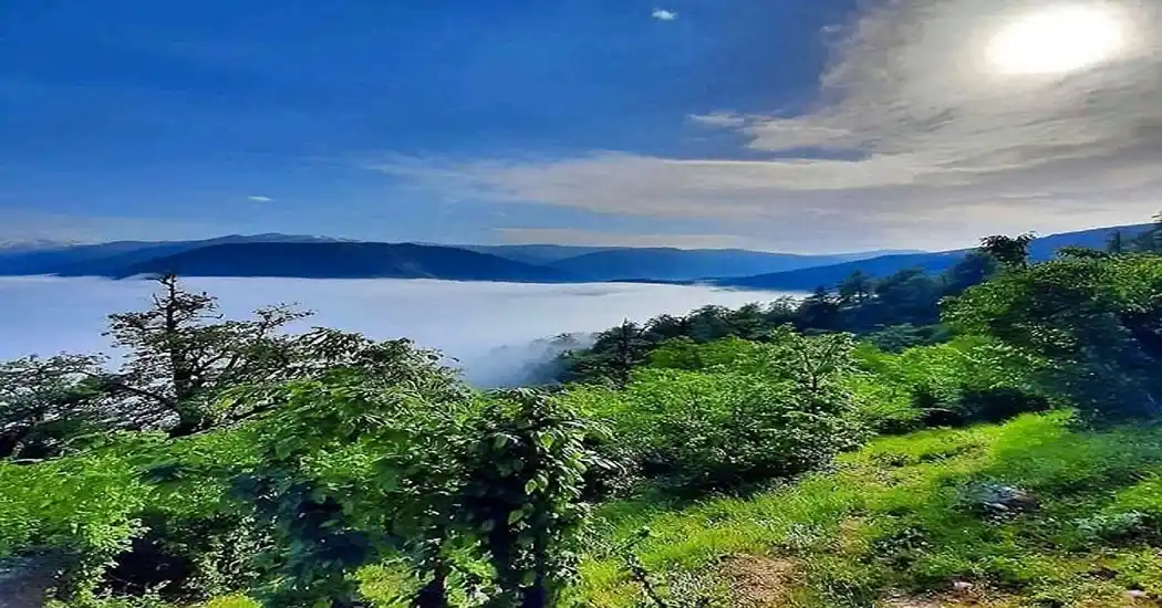 قلعه مارکوه جنگل دالخانی
